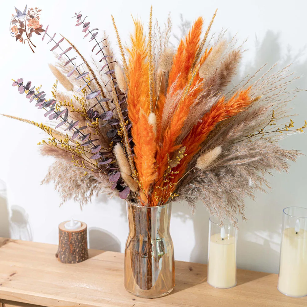 60pcs Orange Pampas Grass Drie - Eucalyptus Preserved ulasan dan harga