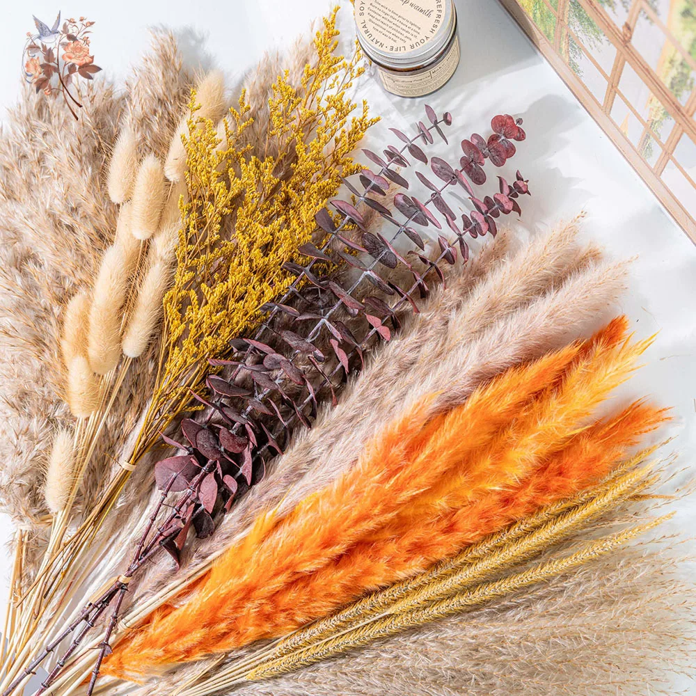 60pcs Orange Pampas Grass Drie - Eucalyptus Preserved ulasan dan harga