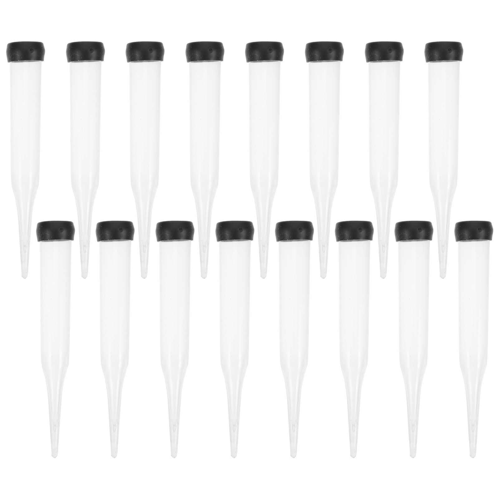 50Pcs Clear Plastic Water Tube - Florist Flower Supply ulasan dan harga