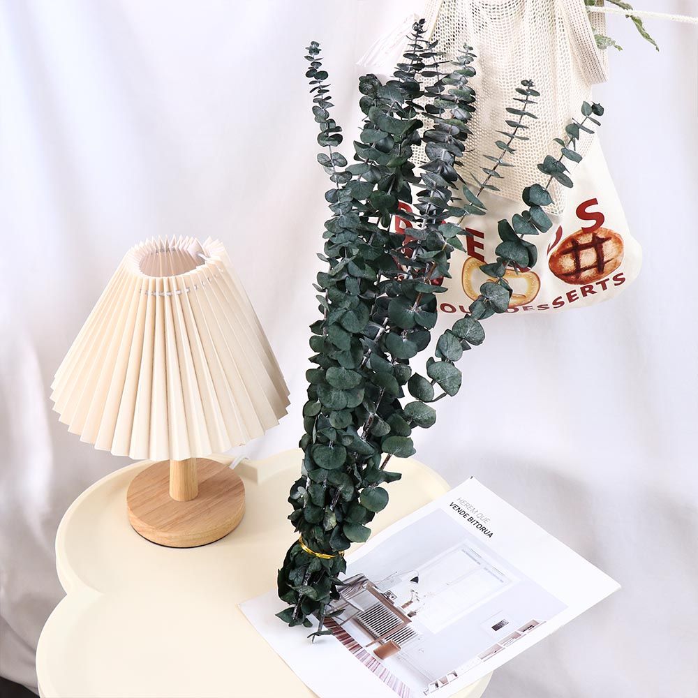10 Pcs Real Leaves Hanging Dri - Eucalyptus Preserved ulasan dan harga