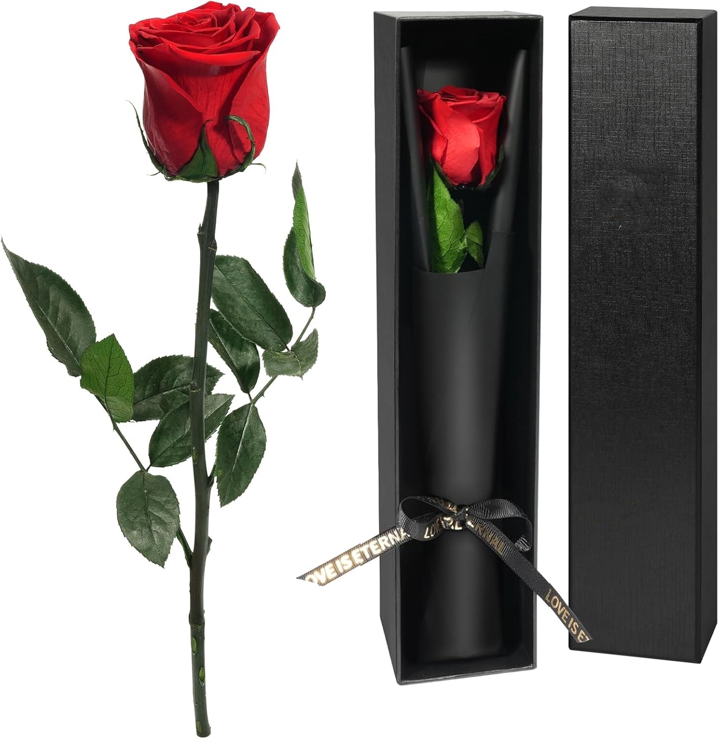 Single Stem Preserved Rose Gif - Florist Supply Bulk ulasan dan harga