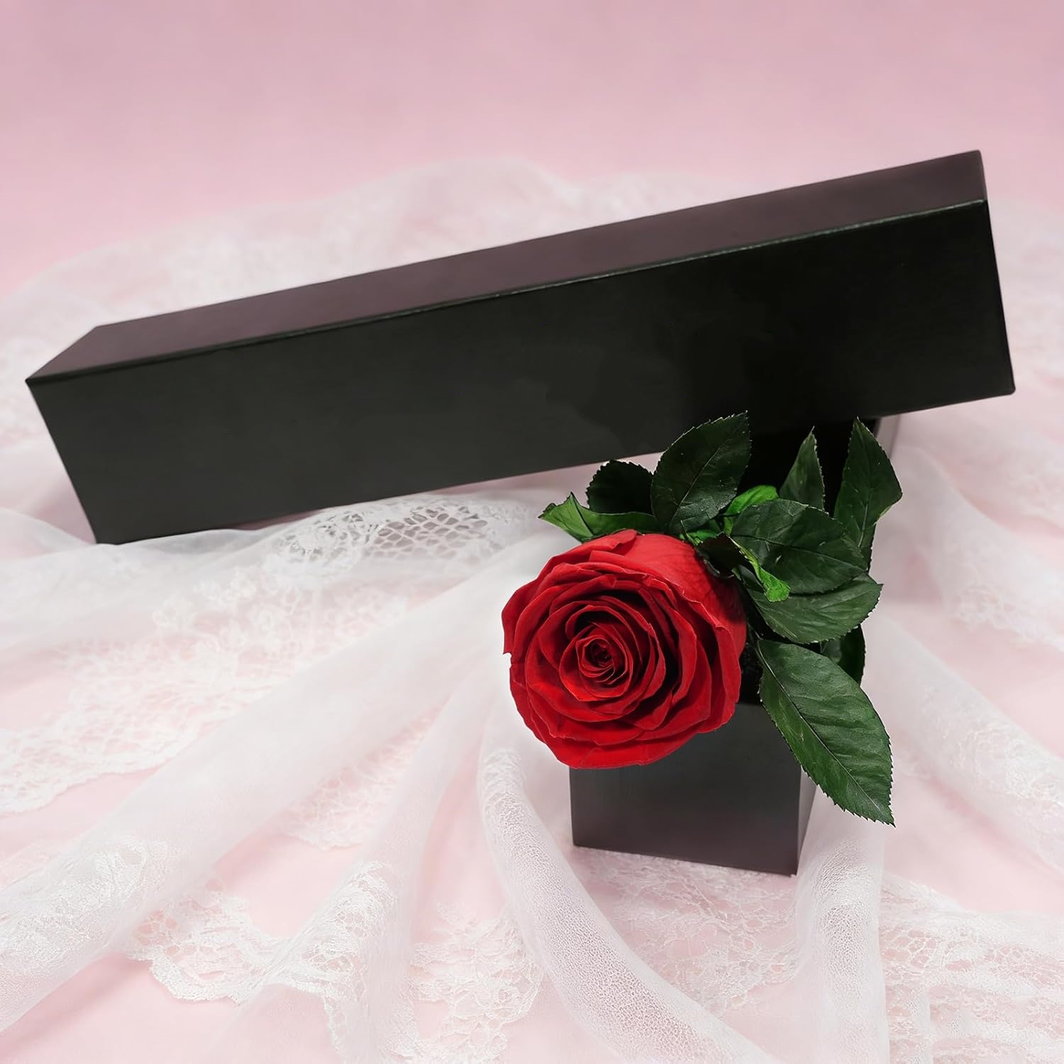 Single Stem Preserved Rose Gif - Florist Supply Bulk ulasan dan harga