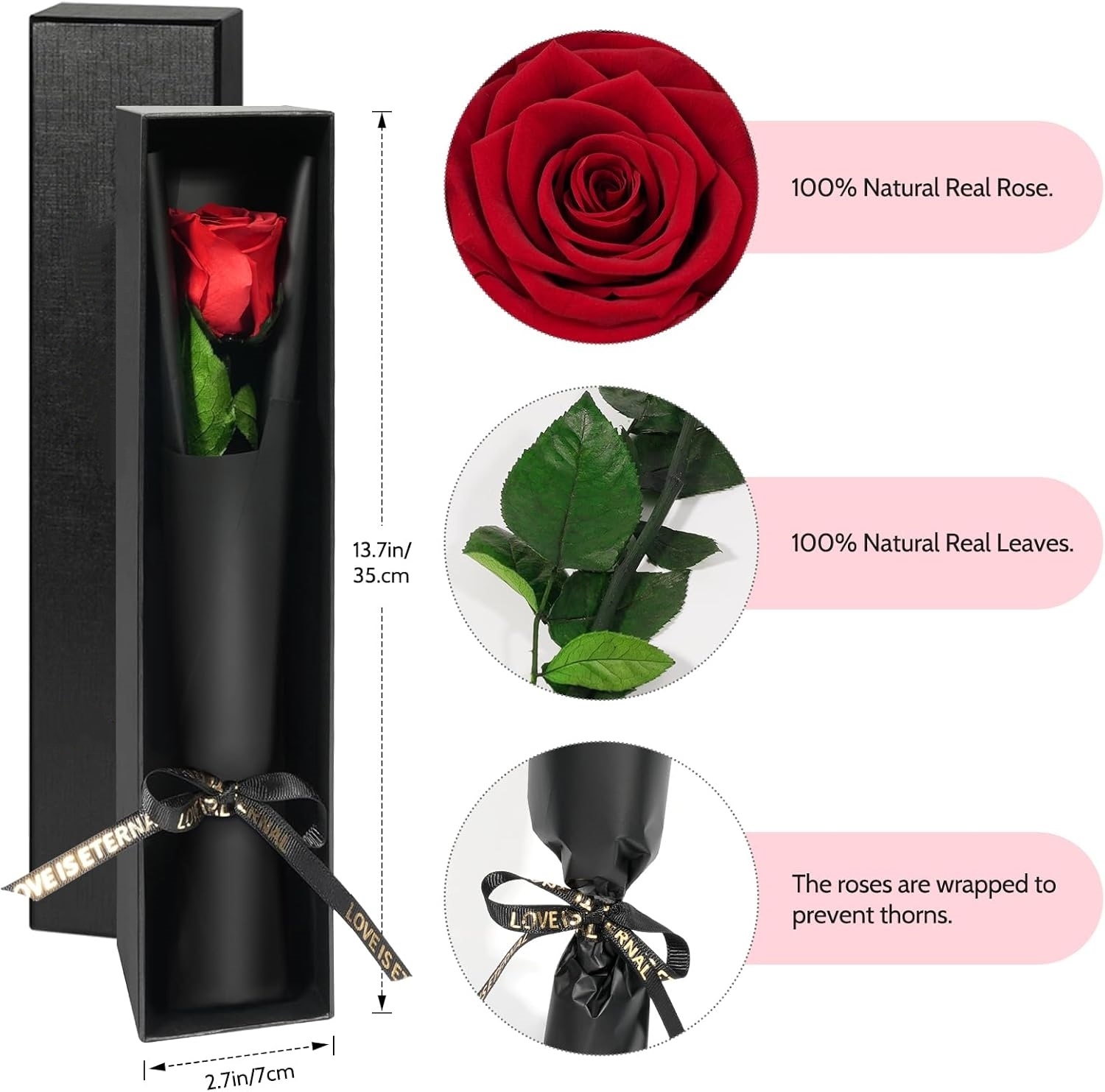 Single Stem Preserved Rose Gif - Florist Supply Bulk ulasan dan harga