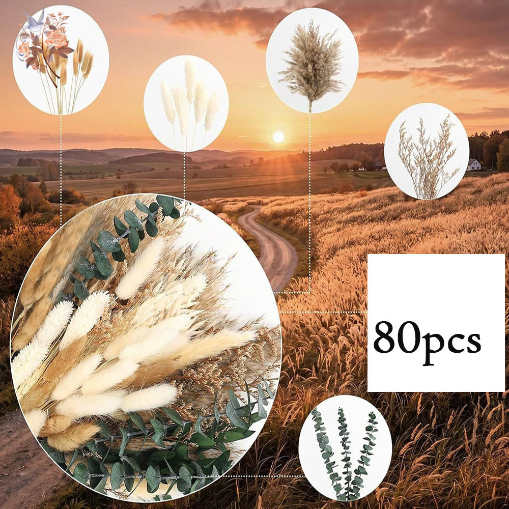 80Pcs Natural Dried Flowers Bo - Eucalyptus Preserved ulasan dan harga