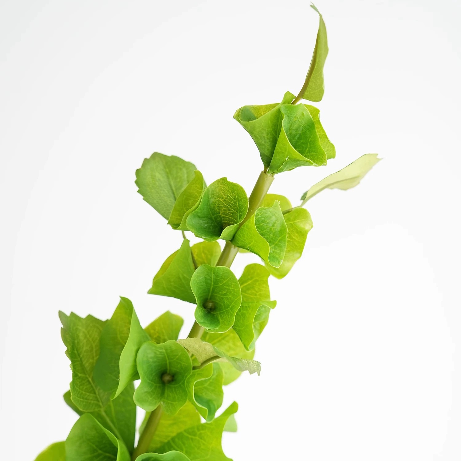 2 pcs Green Artificial Shell F - Florist Supply Bulk ulasan dan harga